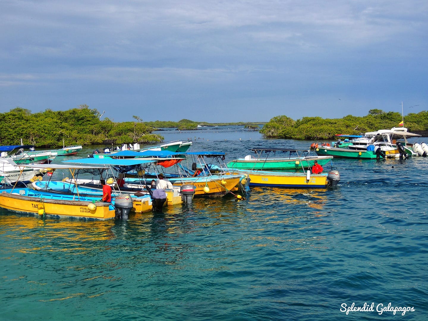 Isabela